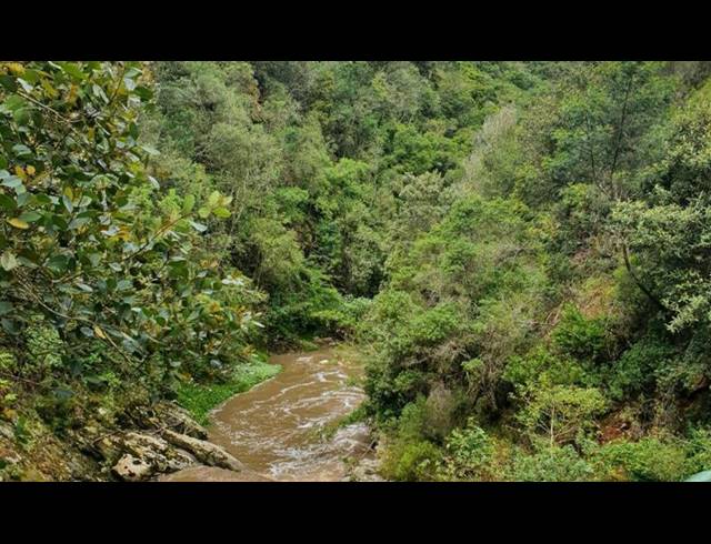 LAND FOR SALE IN BALLOTS BAY